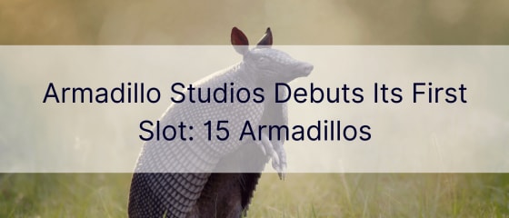 تظهر Armadillo Studios لأول مرة في الفتحة الأولى: 15 من أرماديلو