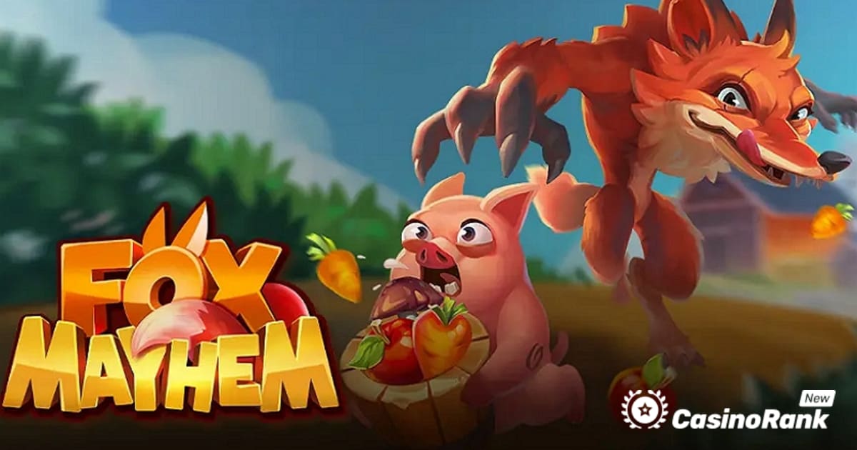 اتبع Cunning Fox في لعبة Play'n GO Slot الجديدة